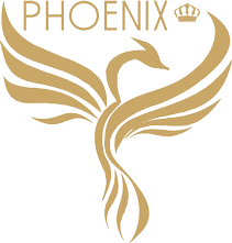 Phoenix - communication solutions - Phoenix - communication solutions -